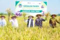 Latest Program: Pemprov Jatim targetkan produksi padi naik hingga 5 persen pada 2026