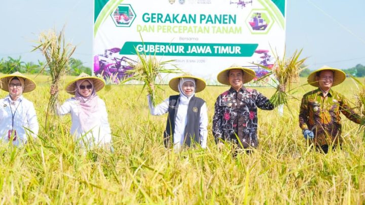 Latest Program: Pemprov Jatim targetkan produksi padi naik hingga 5 persen pada 2026