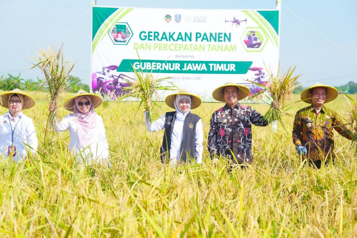 Pemprov Jatim targetkan produksi padi naik hingga 5 persen pada 2026