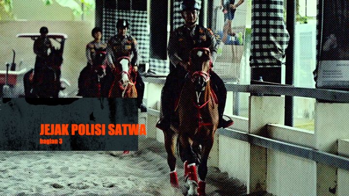 What You Need to Know: Jejak polisi satwa (bagian 3)