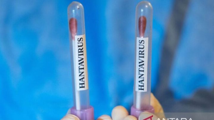 Dinkes sebut suspek hantavirus di Kulon Progo hasilnya negatif