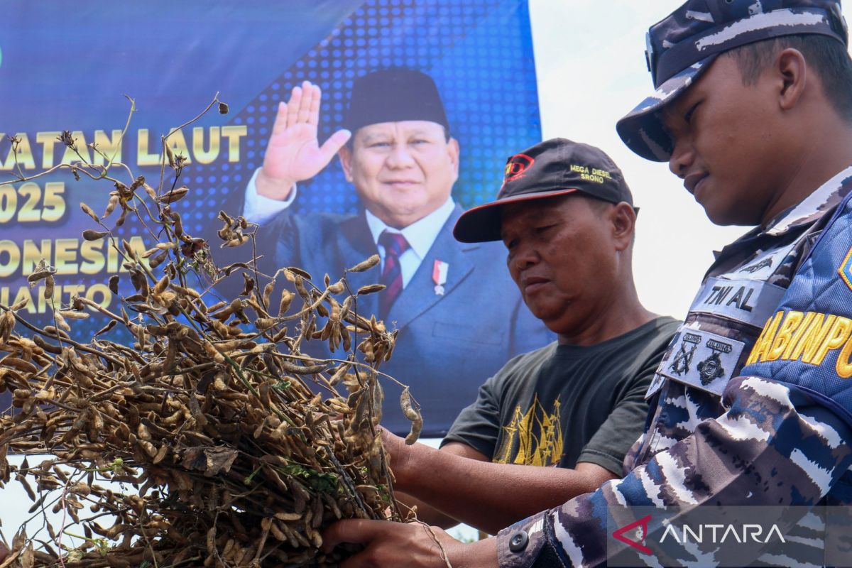 TNI AL pastikan seluruh satuan jalankan program tanam kedelai