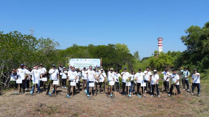 Key Strategy: PLN IP tanam ribuan pohon, peringati Hari Lingkungan Hidup Sedunia