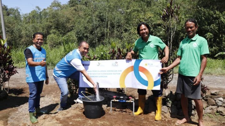 Latest Program: PLN IP Bali konservasi hutan melalui program Pesraman Agung