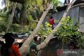 BNPB: Tim TRC Sidrap percepat pembersihan puing usai angin kencang