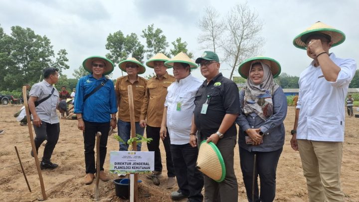 Latest Update: KPK panggil Dirjen Kemenhut hingga Sesditjen Minerba Kementerian ESDM