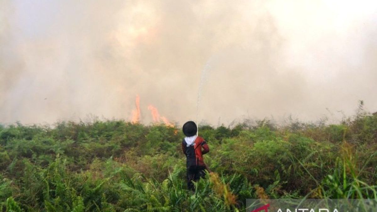 20260610-karhutla-gunong-pulo-aceh-barat