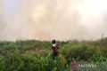 Important News: HAkA: Citra satelit deteksi 280 hektare area terbakar di Aceh Barat