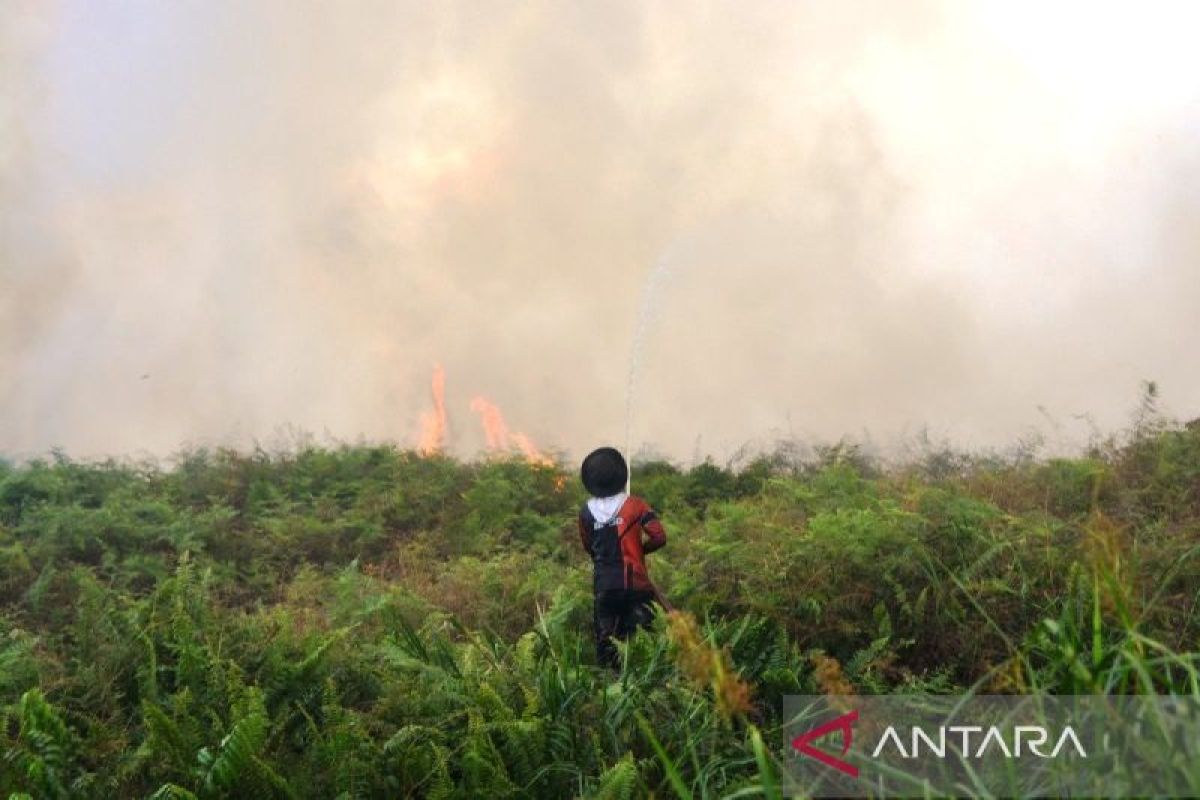 Important News: HAkA: Citra satelit deteksi 280 hektare area terbakar di Aceh Barat