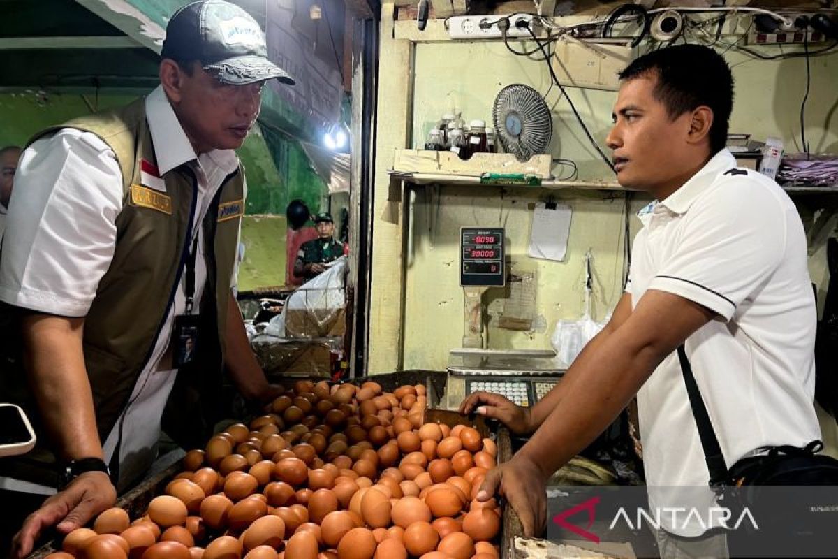 PIHPS: Harga telur ayam ras Rp30.400/kg, bawang merah Rp54.350/kg