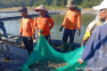 Latest Program: Ketahanan pangan dan jalan pulang warga binaan Nusakambangan