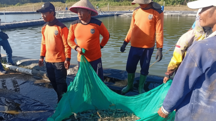 Latest Program: Ketahanan pangan dan jalan pulang warga binaan Nusakambangan