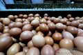PIHPS: Harga telur ayam Rp30.100/kg, bawang merah Rp55.450/kg