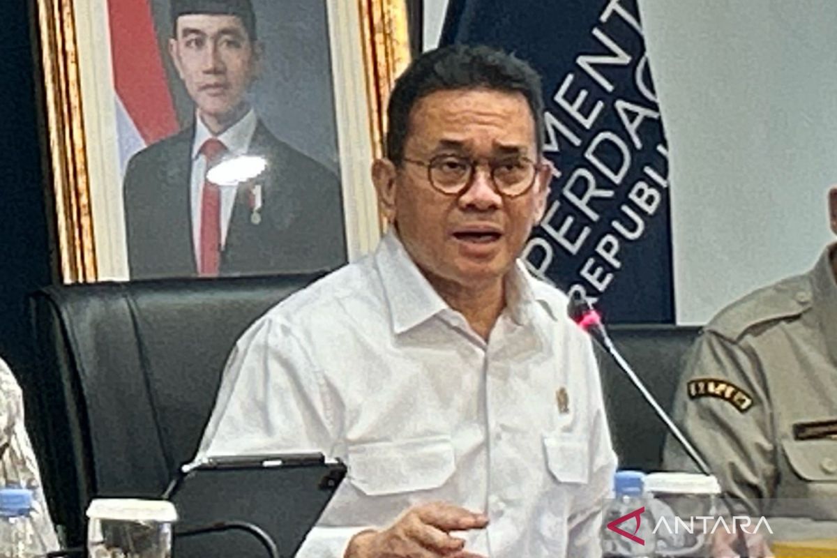 Menteri Perdagangan siapkan tiga aturan baru untuk ekspor SDA