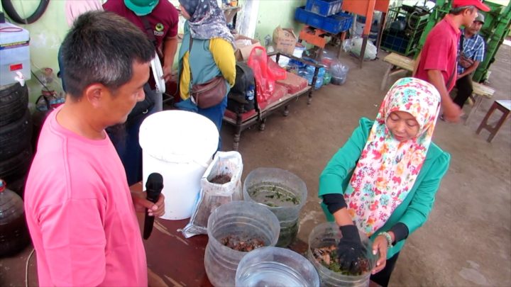 Solving Problems: Jember punya cara unik edukasi warga olah sampah dari rumah