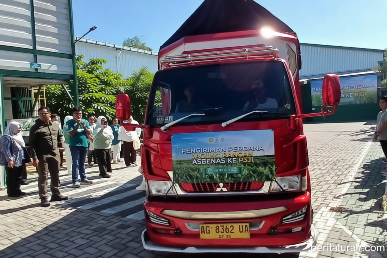 Asbenas kirim 200 ton jagung kualitas pangan ke P3JI
