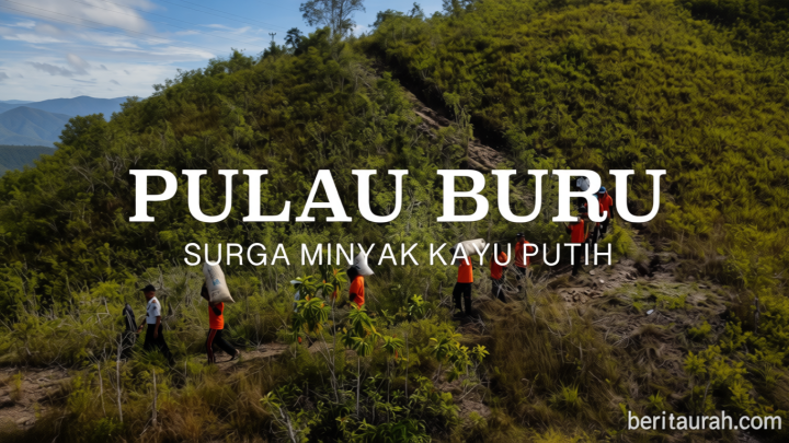 Pulau Buru – surga minyak kayu putih (bagian 2)