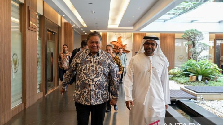 Meeting Results: Indonesia bidik investasi UEA untuk perkuat rantai pasok nasional