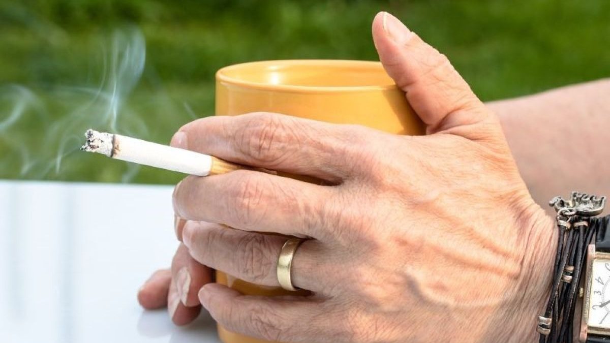 rokok