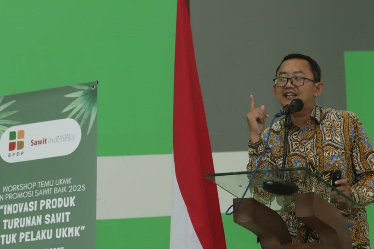 BPDP ajak UKMK tangkap peluang bisnis produk turunan sawit