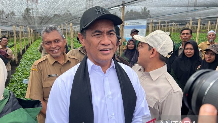 Mentan: Ekspor satu pintu perkuat posisi tawar komoditas Indonesia