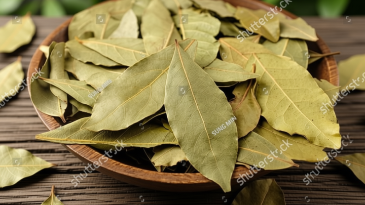 10 Manfaat daun salam bagi kesehatan tubuh, gak cuma buat masakan