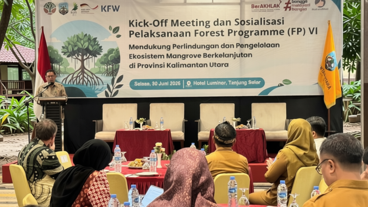 Key Strategy: Pemerintah jalin kerja sama internasional rehabilitasi mangrove