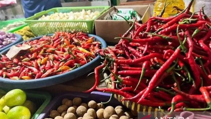 PIHPS: Harga telur ayam Rp29.600 per kg, bawang merah Rp42.150 per kg