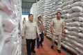 Indef: Rencana ekspor beras ke Singapura peluang serap surplus RI