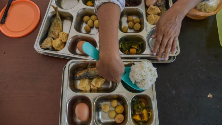 MBG ibu hamil bisa menjadi intervensi cegah risiko stunting