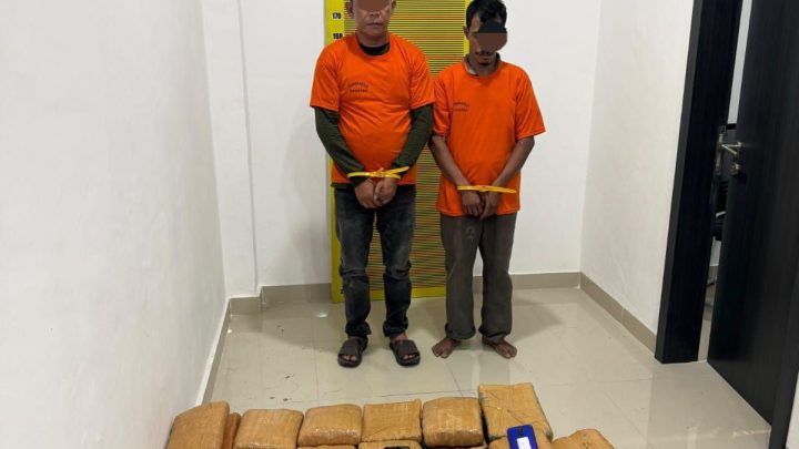 Polda Sumut sita 169,6 kg ganja dan tangkap tiga orang