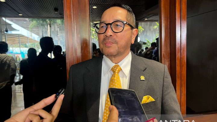 Anggota DPR dorong singkong pengganti gandum demi perkuat swasembada