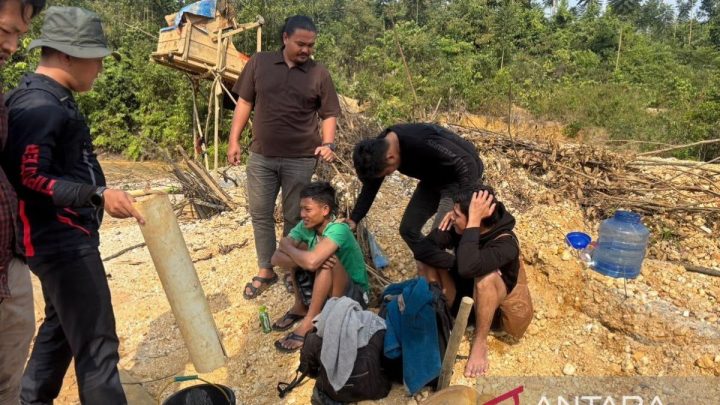 Pengamat sebut penertiban tambang ilegal perbaiki tata kelola timah RI