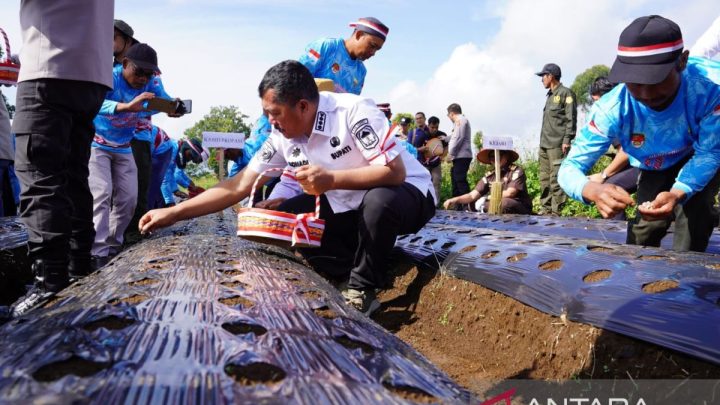 Bupati Kerinci siap kawal pengembangan bawang putih program nasional
