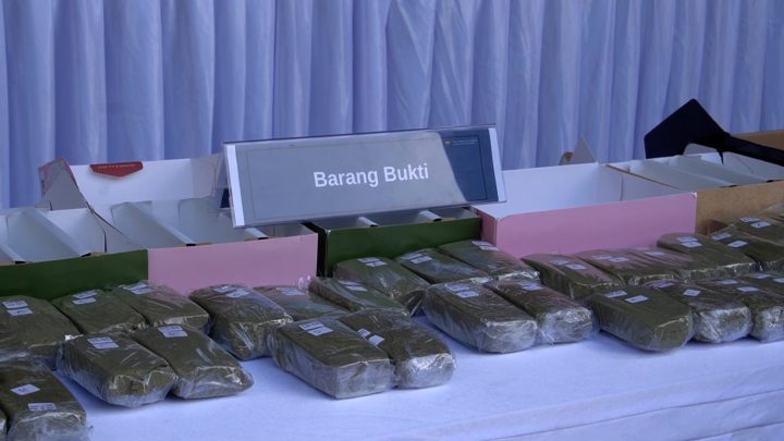 Bea Cukai-Polisi gagalkan penyelundupan 10,1 kg ganja di bandara Bali