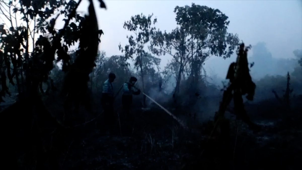 BNPB-DESAK-KEPALA-DAERAH-DI-KALBAR-KALTENG-CABUT-IZIN-PEMBUKAAN-LAHAN