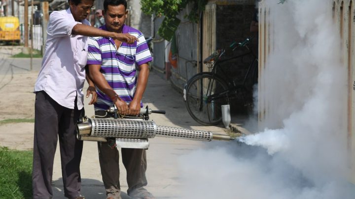Peneliti Australia temukan cara baru cegah Malaria