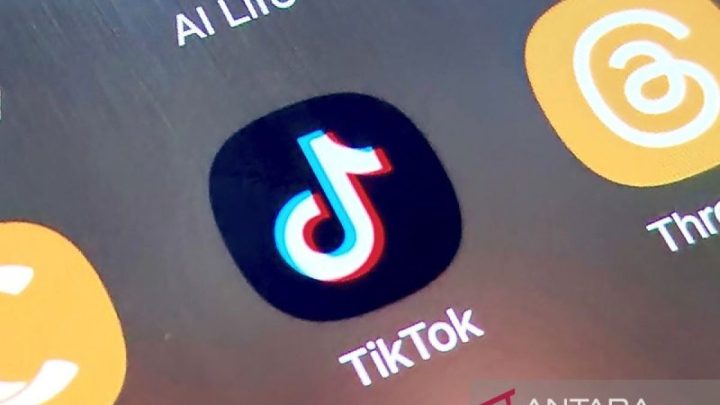 TikTok eksplorasi fitur kirim uang antara pengguna lewat DM