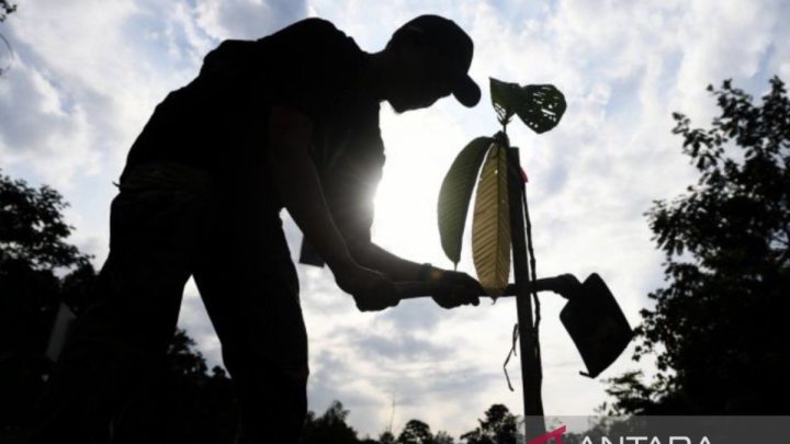 IKN catatkan rekor penanaman pohon di taman kota terbanyak
