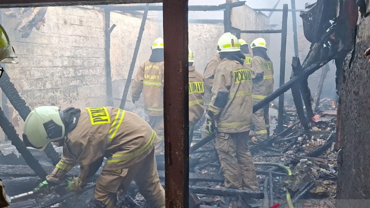 InShot_20260808_221844676