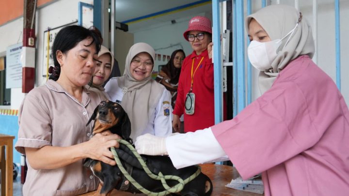 Sudin KPKP Jaktim vaksinasi 1.600 hewan wujudkan Jakarta bebas rabies