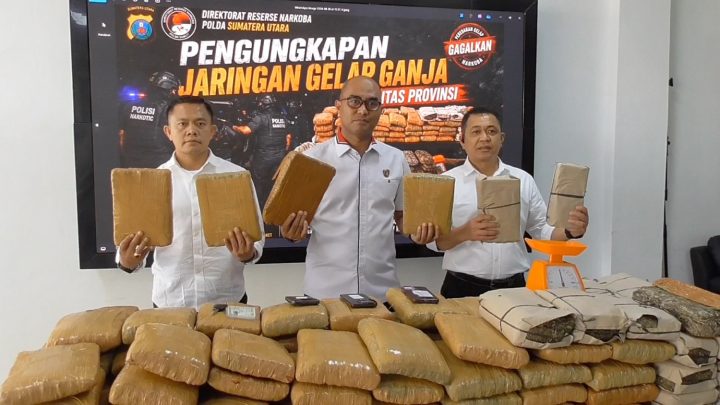 Polda Sumut tangkap tiga tersangka jaringan pengedar 169,6 kg ganja