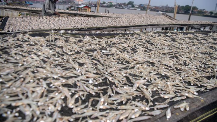 Pengajuan KUR UMKM hingga Rp100 juta tidak perlu agunan
