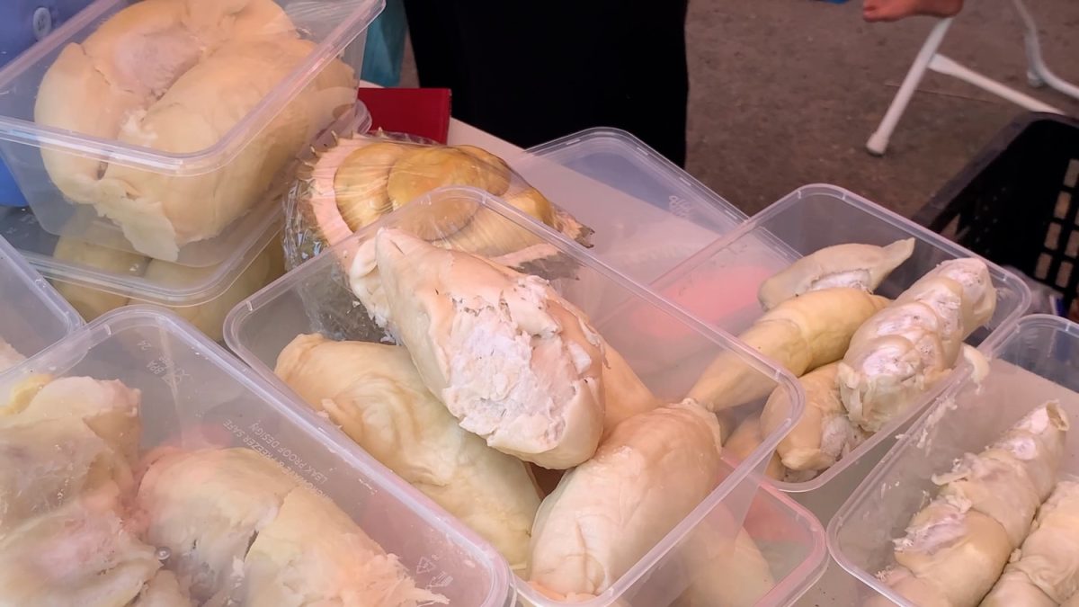 SULTENG-TARGETKAN-JADI-PUSAT-DURIAN-UNGGULAN-BIDIK-PASAR-DUNIA-1