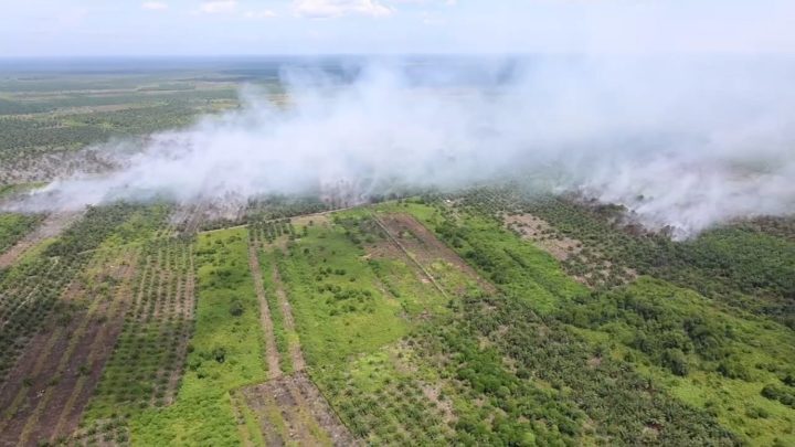 Pemadaman karhutla di Riau terkendala angin kencang dan minim air