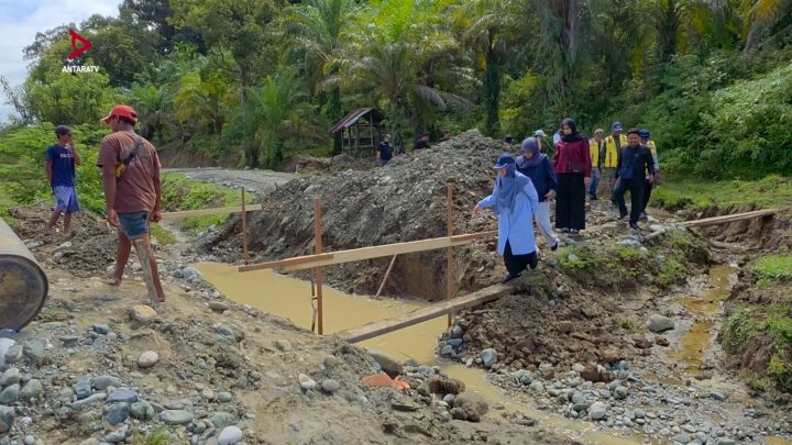 Pemulihan pertanian pascabencana di Aceh capai 49 persen