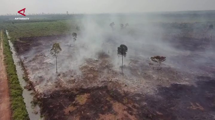 Polisi tangkap 2 tersangka karhutla HGU di Bengkalis untuk sawit