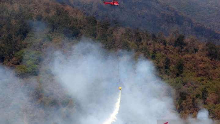 BPBD Jatim: Kebakaran di Gunung Arjuno tersisa satu titik api