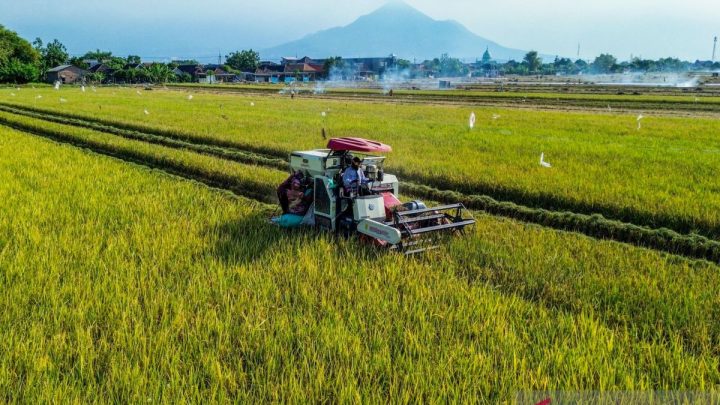 Pakar IPB ingatkan mitigasi dampak El Nino terhadap kinerja pangan