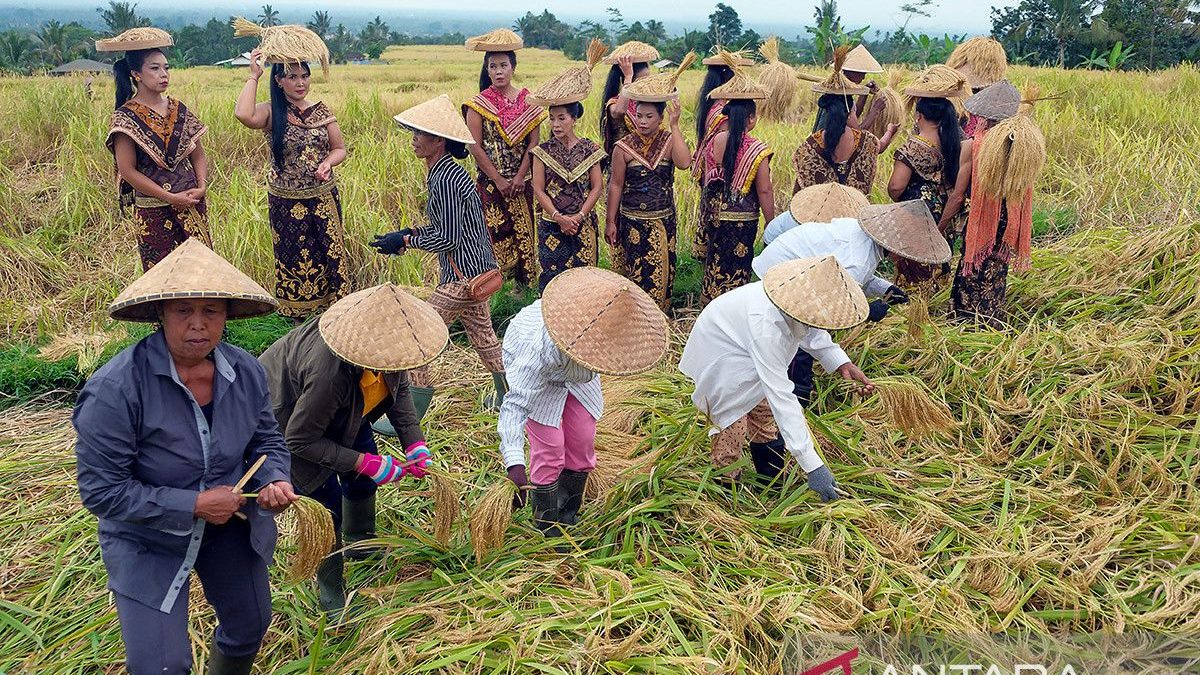 pembukaan-jatiluwih-festival-2026-bali-200626-nhw-5
